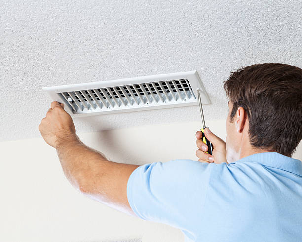 Best Crawl Space Mold Remediation  in Lake Tapps, WA